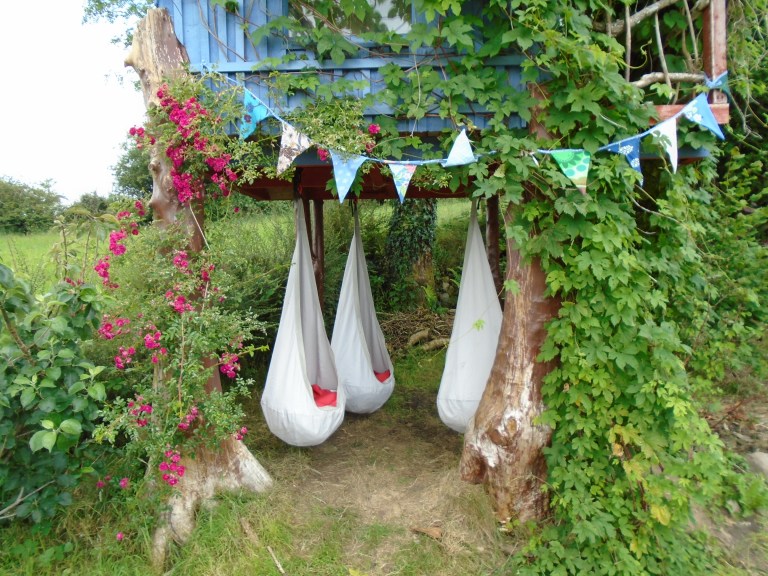 amnesty open day 107