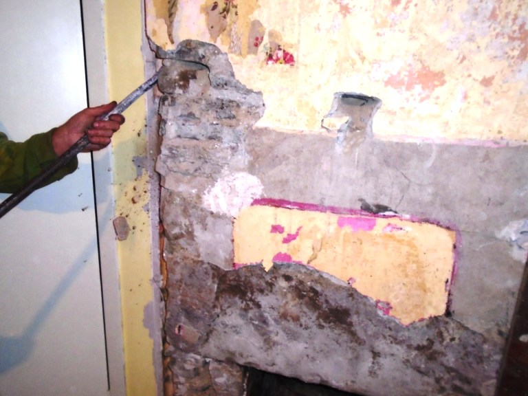 succulents and community garden 120