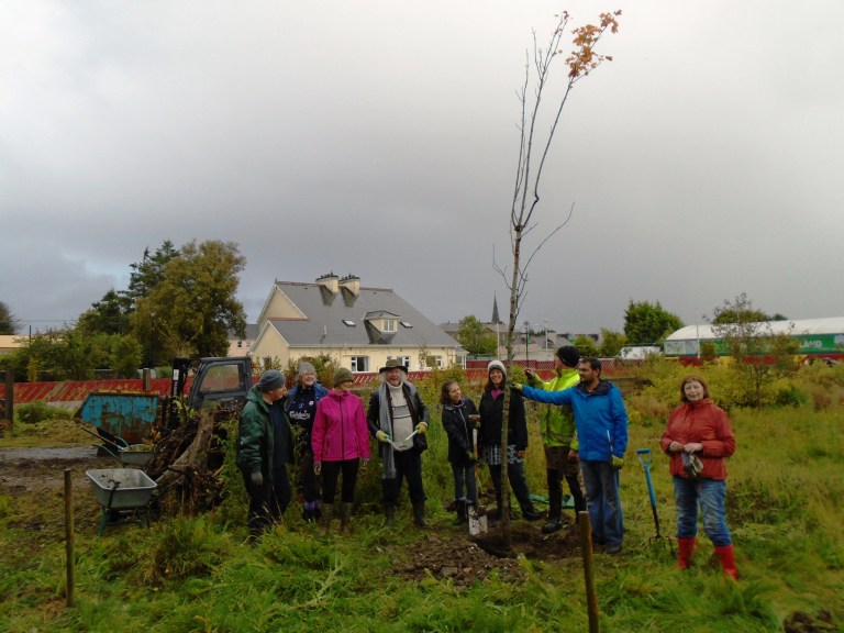 community garden 2 030