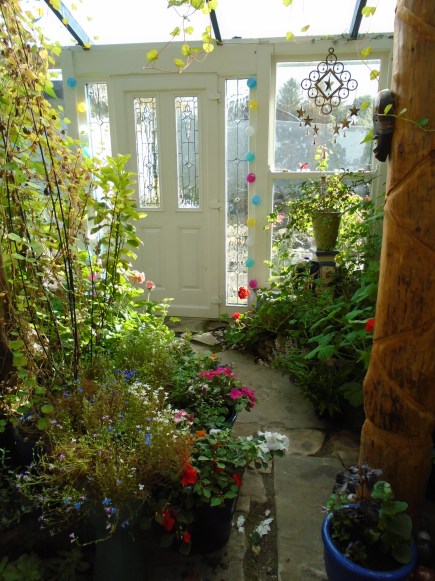 conservatory and acers 061