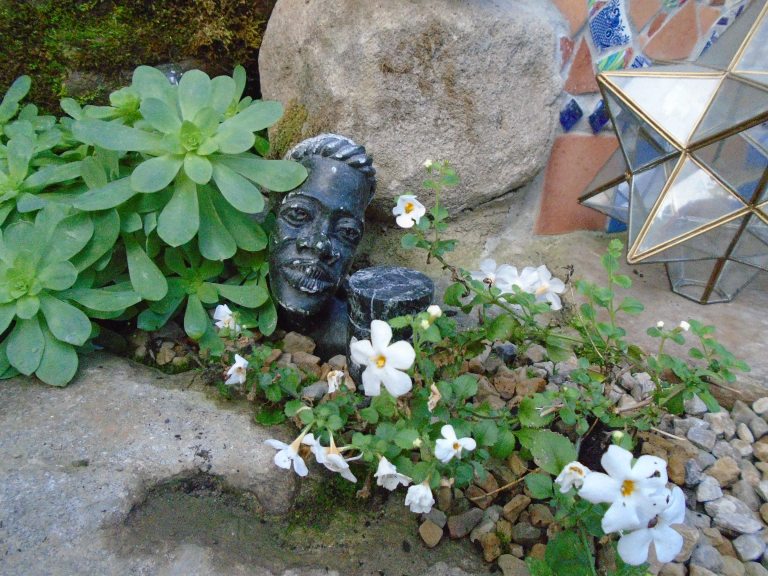 conservatory and acers 067