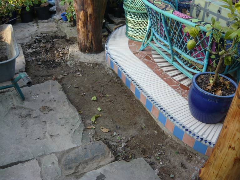 january conservatory 061