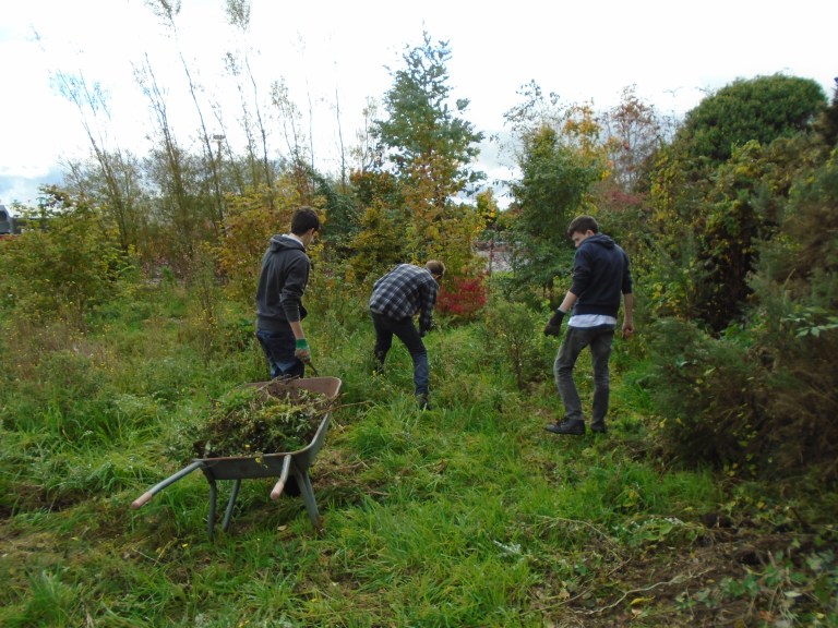october community garden 013