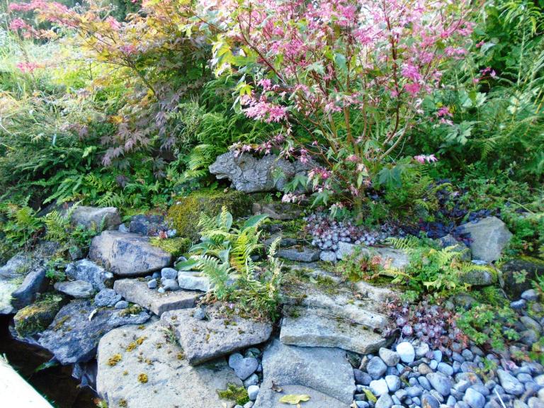 succulents and community garden 028