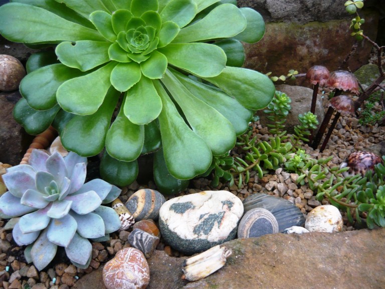 inside out or outside in 024