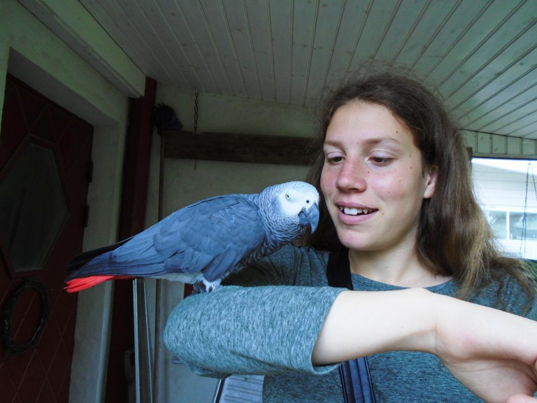 sweden and garden 119