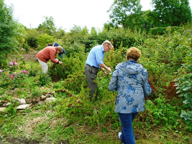 amnesty open day 059