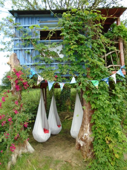 amnesty open day 105