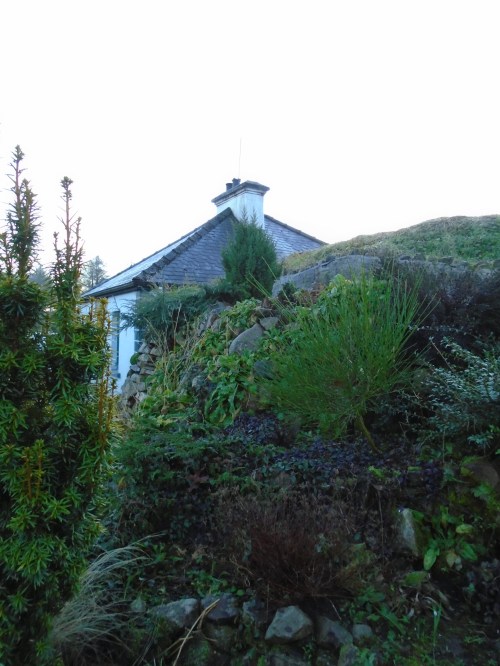 glassbottle wall 010