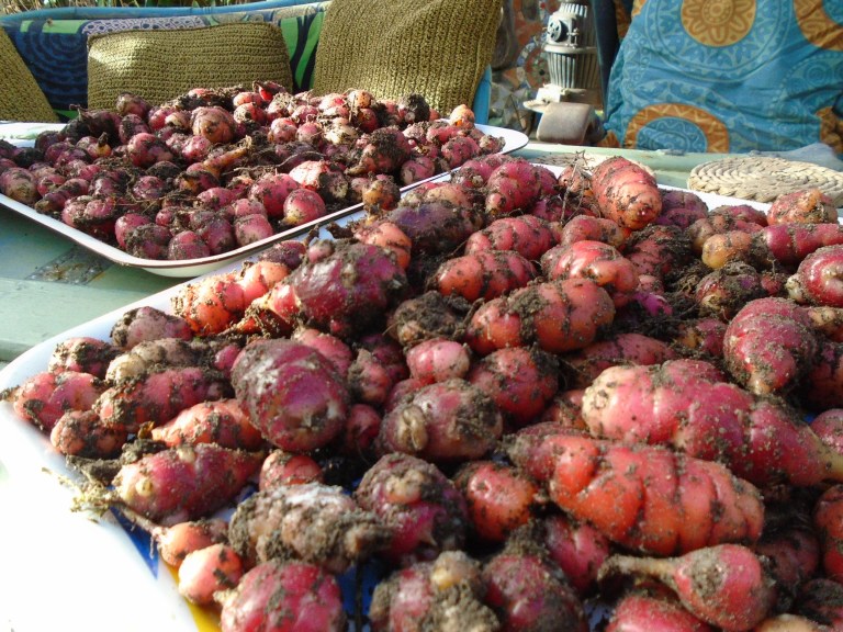 community garden 28th jan 053