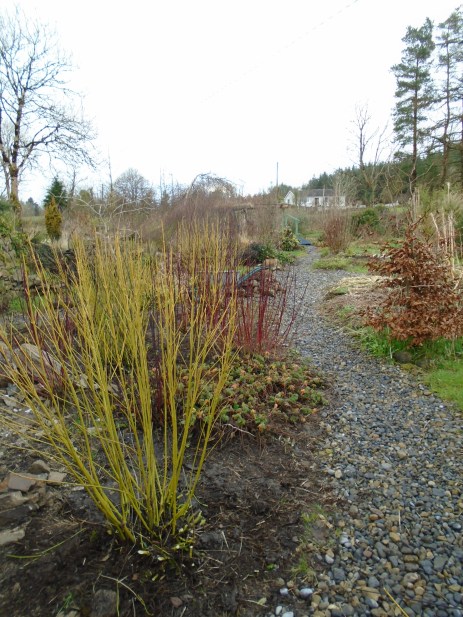 garden and candles 002