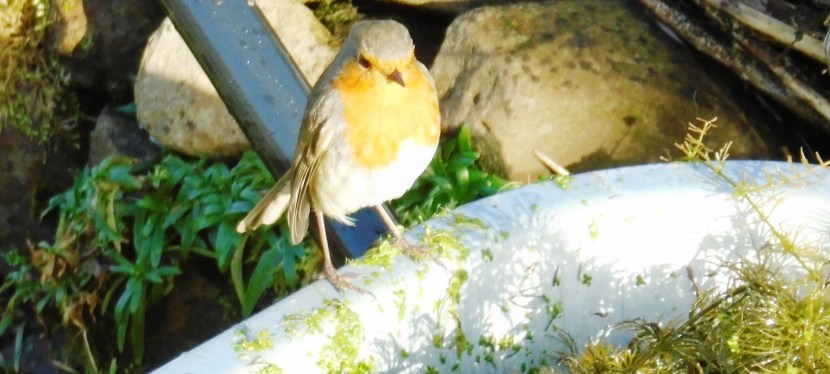 Not too little and not too&nbsp;much.