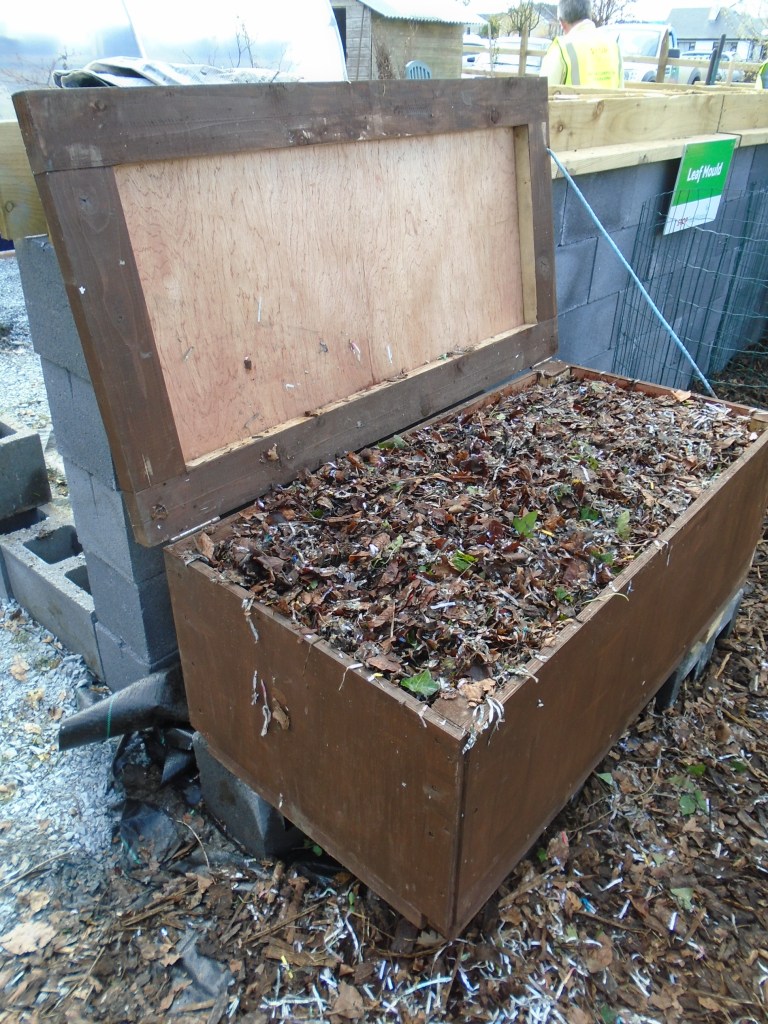 kitchen and community garden 014