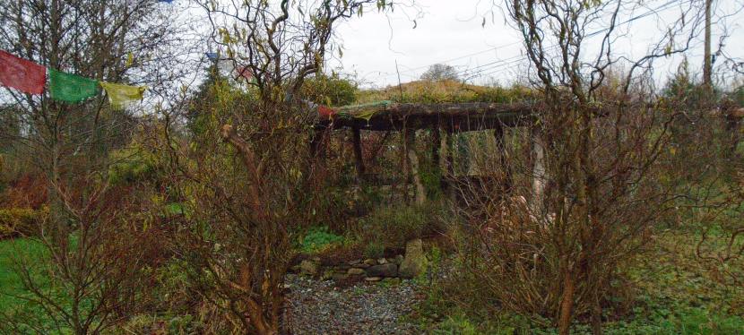 Unglamorous November.