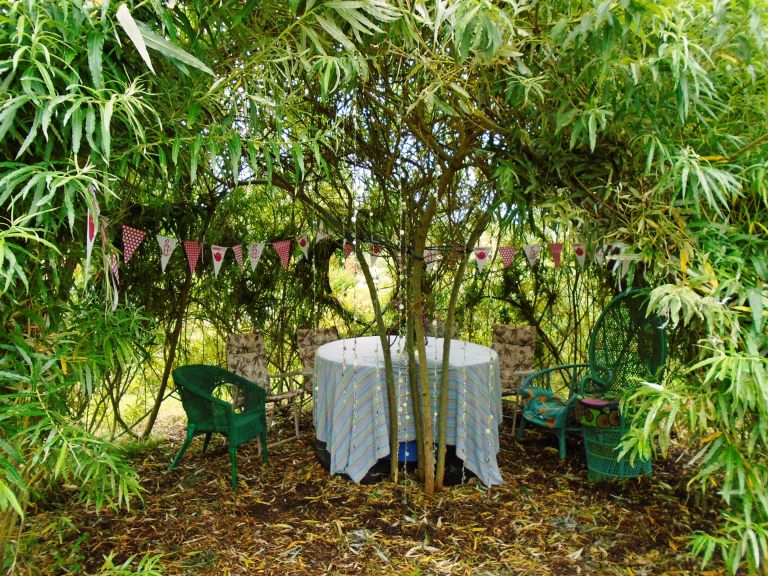 amnesty open day 040