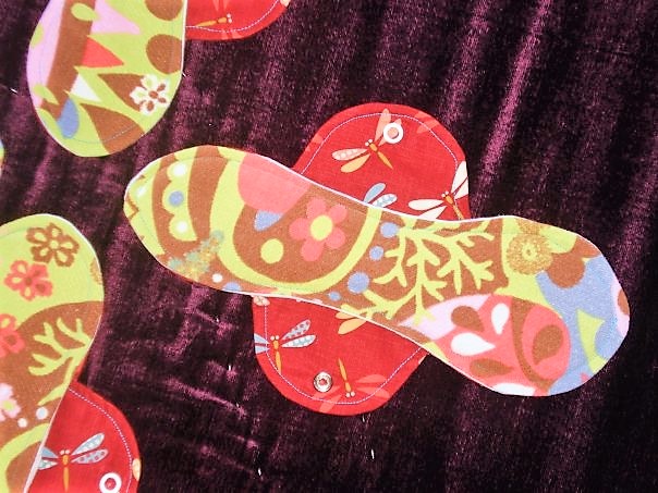 17864_270405166633_2870727_n (2)