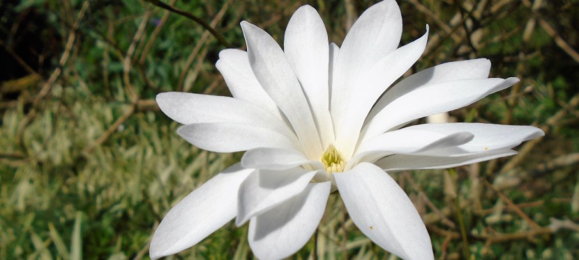 Honouring the elements.