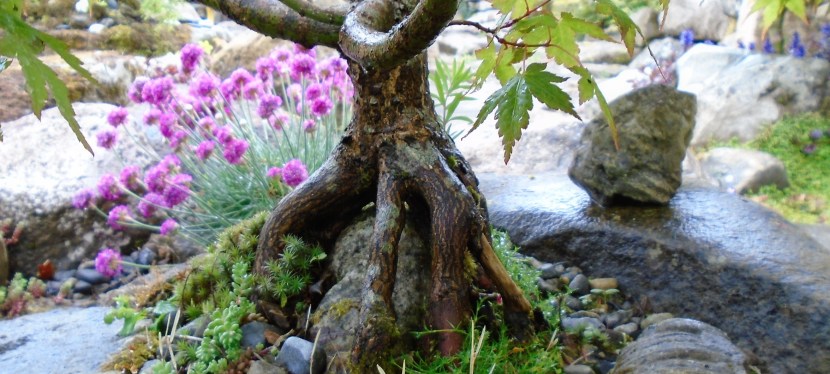 A year of&nbsp;memories.